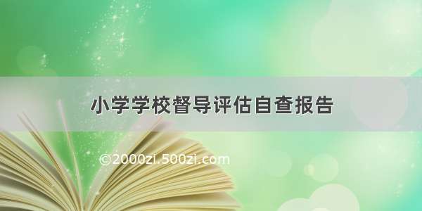 小学学校督导评估自查报告