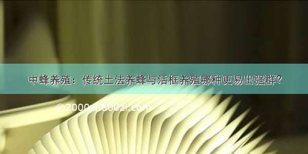 中蜂养殖：传统土法养蜂与活框养殖哪种更易出强群？