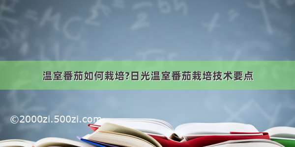 温室番茄如何栽培?日光温室番茄栽培技术要点