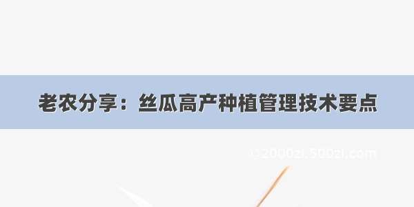 老农分享：丝瓜高产种植管理技术要点