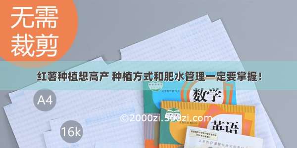 红薯种植想高产 种植方式和肥水管理一定要掌握！