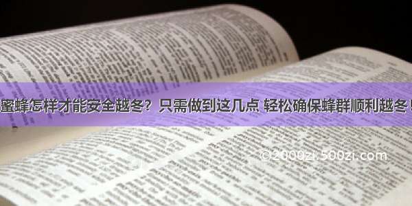 蜜蜂怎样才能安全越冬？只需做到这几点 轻松确保蜂群顺利越冬！