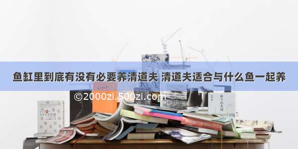 鱼缸里到底有没有必要养清道夫 清道夫适合与什么鱼一起养