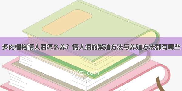 多肉植物情人泪怎么养？情人泪的繁殖方法与养殖方法都有哪些