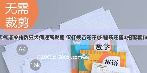 天气渐冷猪伪狂犬病迎高发期 仅打疫苗还不够 猪场还需2招配套(3)