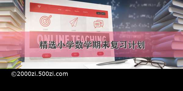 精选小学数学期末复习计划