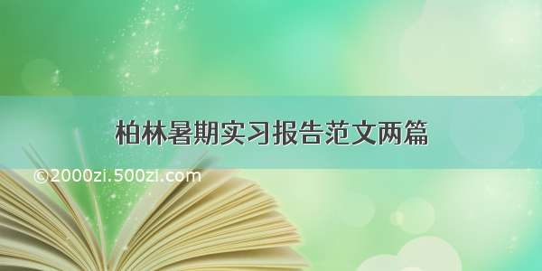 柏林暑期实习报告范文两篇