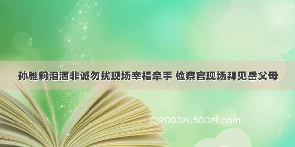 孙雅莉泪洒非诚勿扰现场幸福牵手 检察官现场拜见岳父母