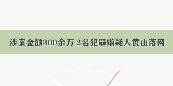 涉案金额300余万 2名犯罪嫌疑人黄山落网