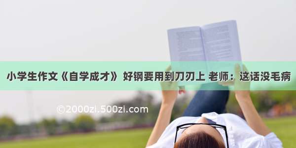 小学生作文《自学成才》 好钢要用到刀刃上 老师：这话没毛病