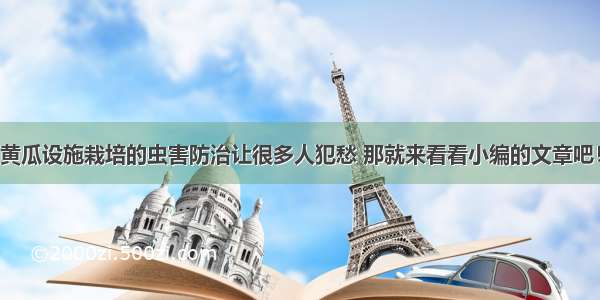 黄瓜设施栽培的虫害防治让很多人犯愁 那就来看看小编的文章吧！