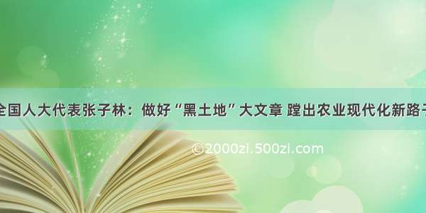 全国人大代表张子林：做好“黑土地”大文章 蹚出农业现代化新路子