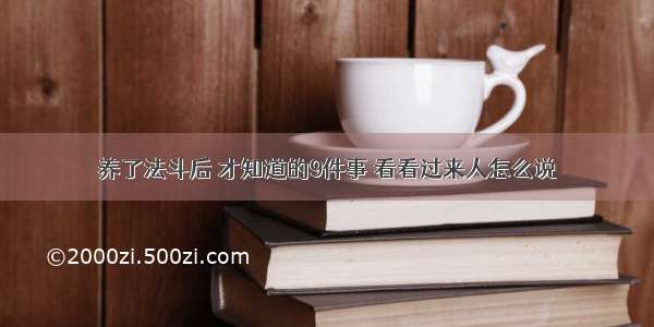 养了法斗后 才知道的9件事 看看过来人怎么说