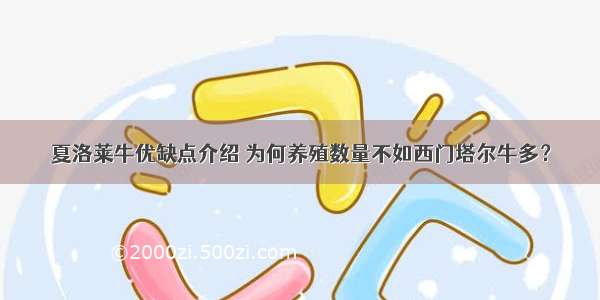 夏洛莱牛优缺点介绍 为何养殖数量不如西门塔尔牛多？