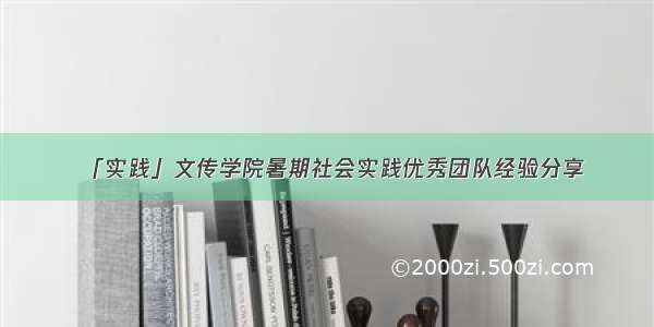 「实践」文传学院暑期社会实践优秀团队经验分享