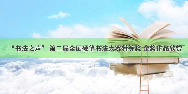 “书法之声” 第二届全国硬笔书法大赛特等奖 金奖作品欣赏