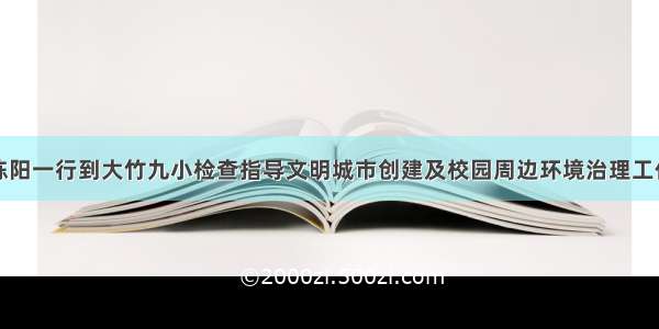 陈阳一行到大竹九小检查指导文明城市创建及校园周边环境治理工作