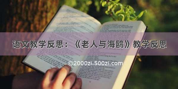 语文教学反思：《老人与海鸥》教学反思