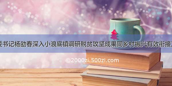 区委书记杨劭春深入小浪底镇调研脱贫攻坚成果同乡村振兴有效衔接工作