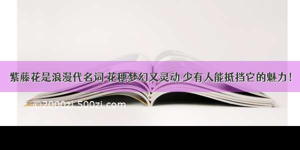 紫藤花是浪漫代名词 花穗梦幻又灵动 少有人能抵挡它的魅力！