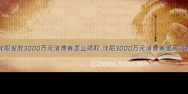 沈阳发放3000万元消费券怎么领取 沈阳3000万元消费券使用攻略