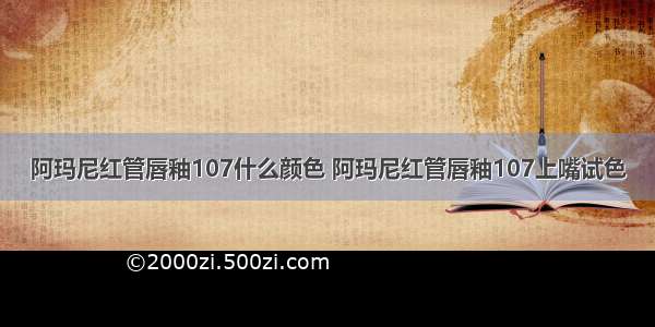 阿玛尼红管唇釉107什么颜色 阿玛尼红管唇釉107上嘴试色