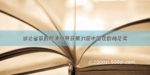 湖北省京剧院唐恺荣获第31届中国戏剧梅花奖