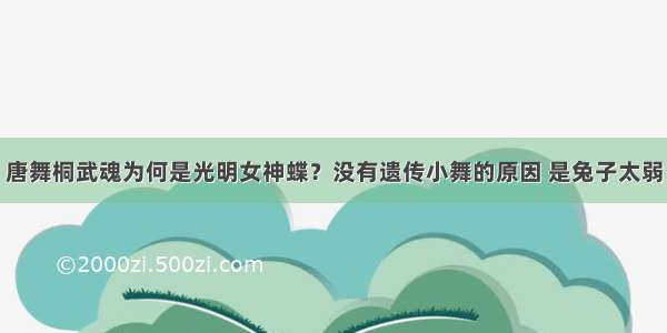 唐舞桐武魂为何是光明女神蝶？没有遗传小舞的原因 是兔子太弱