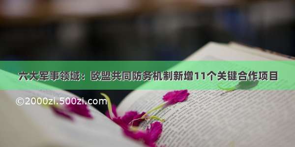 六大军事领域：欧盟共同防务机制新增11个关键合作项目