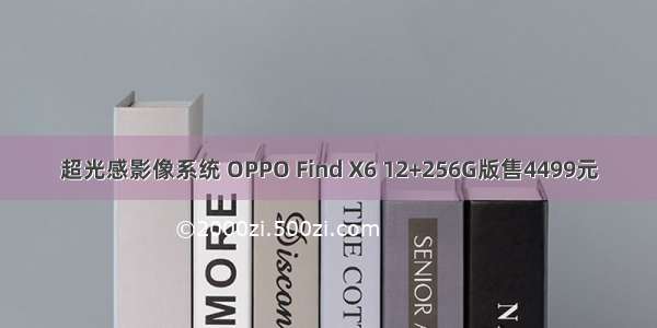 超光感影像系统 OPPO Find X6 12+256G版售4499元