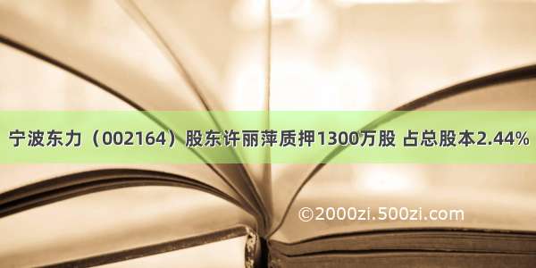 宁波东力（002164）股东许丽萍质押1300万股 占总股本2.44%