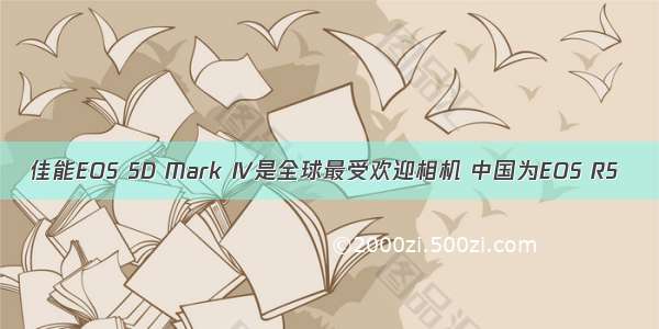 佳能EOS 5D Mark IV是全球最受欢迎相机 中国为EOS R5