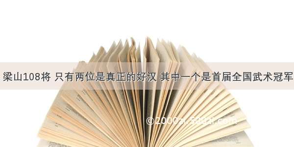 梁山108将 只有两位是真正的好汉 其中一个是首届全国武术冠军