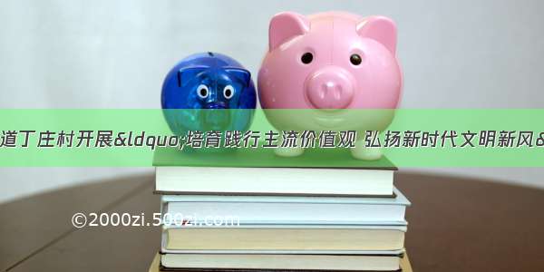 济宁高新区接庄街道丁庄村开展“培育践行主流价值观 弘扬新时代文明新风” 主题宣讲