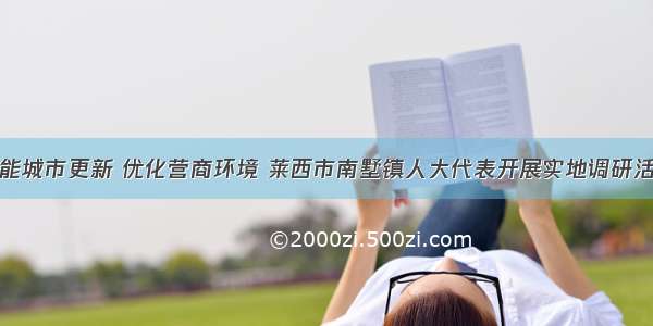 赋能城市更新 优化营商环境 莱西市南墅镇人大代表开展实地调研活动