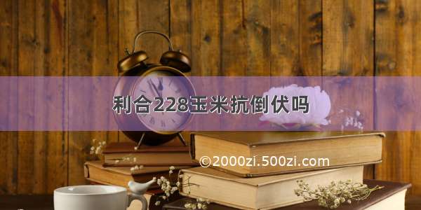 利合228玉米抗倒伏吗