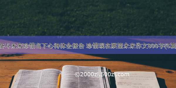 奋斗未来珍惜当下心得体会报告 珍惜现在展望未来作文800字(6篇)