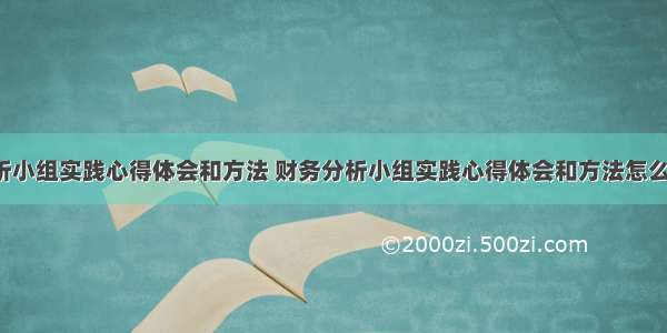 财务分析小组实践心得体会和方法 财务分析小组实践心得体会和方法怎么写(2篇)