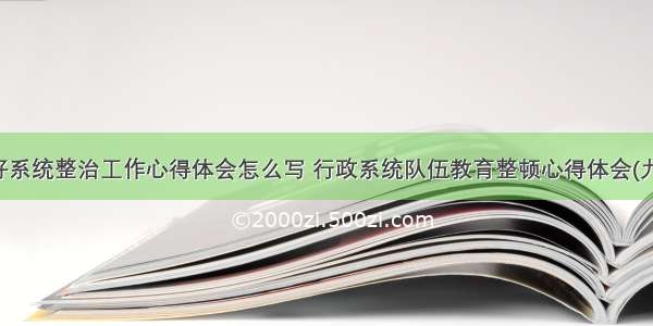 做好系统整治工作心得体会怎么写 行政系统队伍教育整顿心得体会(九篇)