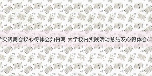 大学实践周会议心得体会如何写 大学校内实践活动总结及心得体会(二篇)