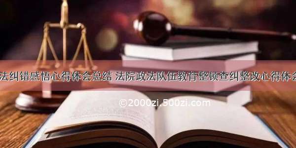 法院依法纠错感悟心得体会总结 法院政法队伍教育整顿查纠整改心得体会(四篇)