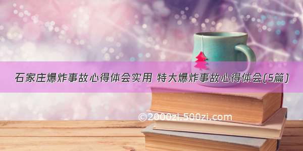 石家庄爆炸事故心得体会实用 特大爆炸事故心得体会(5篇)