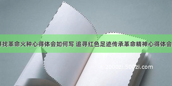 团员寻找革命火种心得体会如何写 追寻红色足迹传承革命精神心得体会(三篇)