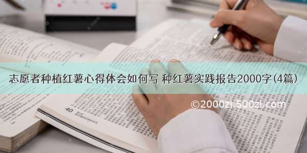 志愿者种植红薯心得体会如何写 种红薯实践报告2000字(4篇)