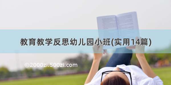 教育教学反思幼儿园小班(实用14篇)