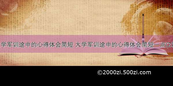 大学军训途中的心得体会简短 大学军训途中的心得体会简短一点(2篇)