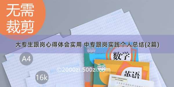 大专生跟岗心得体会实用 中专跟岗实践个人总结(2篇)