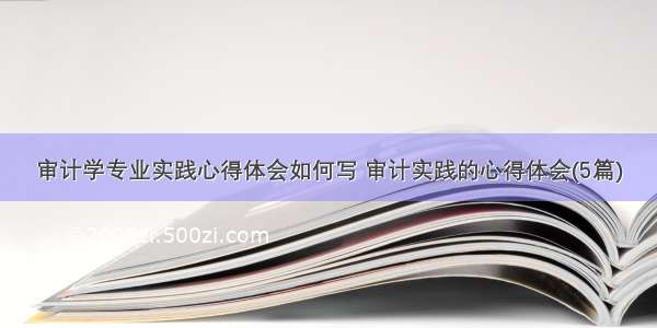 审计学专业实践心得体会如何写 审计实践的心得体会(5篇)