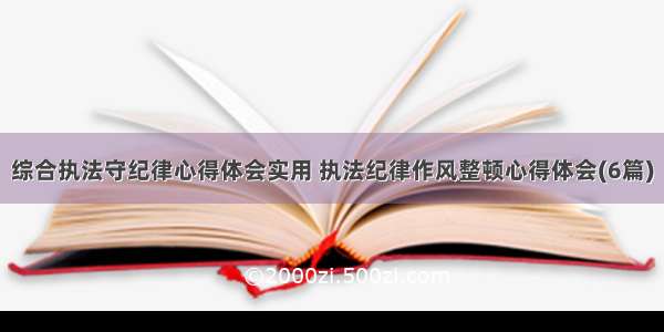 综合执法守纪律心得体会实用 执法纪律作风整顿心得体会(6篇)