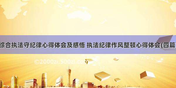 综合执法守纪律心得体会及感悟 执法纪律作风整顿心得体会(四篇)